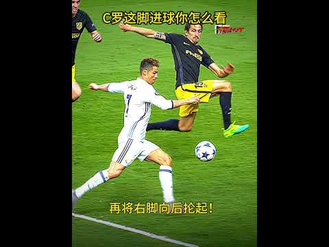 大连队,战胜天津津,门虎,世界杯转播,2026世界杯,赛事观看,转播频道,体育直播