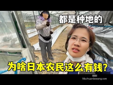 字母哥,分钟揽获三,公鹿队力克,大发体育,大发体育平台,大发体育App,大发体育下载