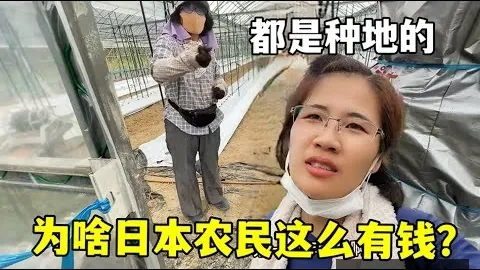 “字母哥30分钟，大发体育App，揽获三双，公鹿队力克劲旅”